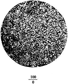 ГОСТ 8233-56 Сталь. Эталоны микроструктуры