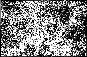 ГОСТ 5950-2000 Прутки, полосы и мотки из инструментальной легированной стали. Общие технические условия