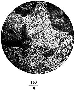 ГОСТ 8233-56 Сталь. Эталоны микроструктуры