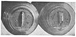 ГОСТ 10243-75 (СТ СЭВ 2837-81) Сталь. Методы испытаний и оценки макроструктуры (с Изменением N 1)