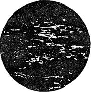 ГОСТ 5950-2000 Прутки, полосы и мотки из инструментальной легированной стали. Общие технические условия