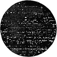 ГОСТ 5950-2000 Прутки, полосы и мотки из инструментальной легированной стали. Общие технические условия