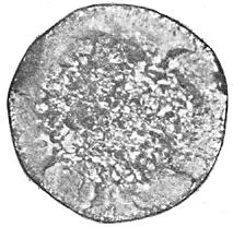 ГОСТ 10243-75 (СТ СЭВ 2837-81) Сталь. Методы испытаний и оценки макроструктуры (с Изменением N 1)