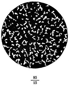 ГОСТ 8233-56 Сталь. Эталоны микроструктуры