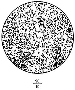 ГОСТ 8233-56 Сталь. Эталоны микроструктуры