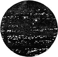 ГОСТ 5950-2000 Прутки, полосы и мотки из инструментальной легированной стали. Общие технические условия