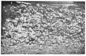 ГОСТ 10243-75 (СТ СЭВ 2837-81) Сталь. Методы испытаний и оценки макроструктуры (с Изменением N 1)