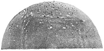 ГОСТ 10243-75 (СТ СЭВ 2837-81) Сталь. Методы испытаний и оценки макроструктуры (с Изменением N 1)