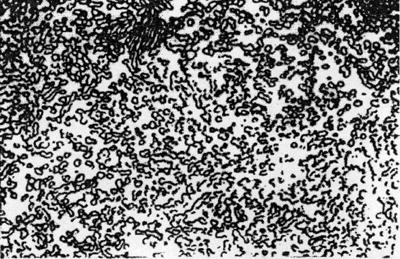 ГОСТ 1435-99 Прутки, полосы и мотки из инструментальной нелегированной стали. Общие технические условия