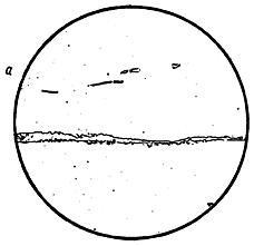 ГОСТ 11878-66 Сталь аустенитная. Методы определения содержания ферритной фазы в прутках (с Изменениями N 1, 2)
