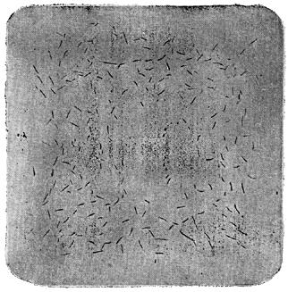 ГОСТ 10243-75 (СТ СЭВ 2837-81) Сталь. Методы испытаний и оценки макроструктуры (с Изменением N 1)