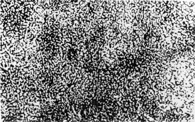 ГОСТ 1435-99 Прутки, полосы и мотки из инструментальной нелегированной стали. Общие технические условия