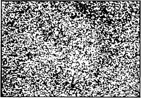 ГОСТ 5950-2000 Прутки, полосы и мотки из инструментальной легированной стали. Общие технические условия